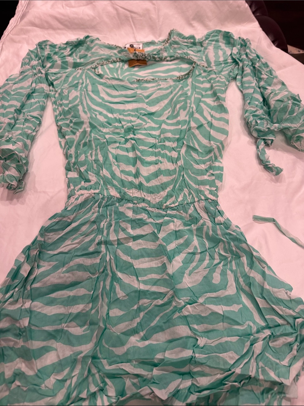 Women's Mint Zebra-Print Swim Cover Up